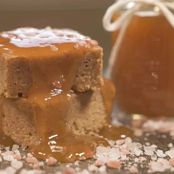 Protein Snack Shop Gourmet Protein Blondie Single