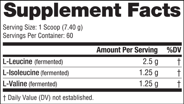 NutraBio BCAA 5000 Powder 60srv