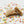 Alpha Cookies single