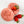 Alpha Cookies single