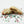 Alpha Cookies single
